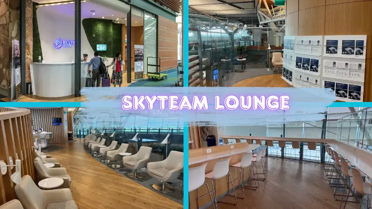 The Best Priority Pass Lounges in the World 11 sky-team-lounge-5