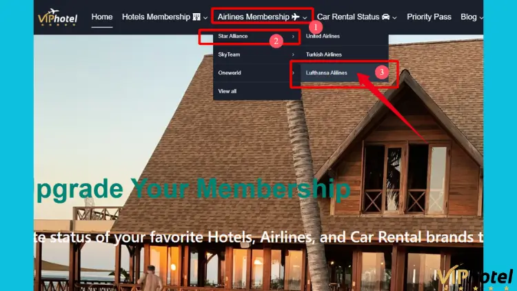 Is Lufthansa Senator Status Worth It? 5 fast track to lufthansa senator status 1 1