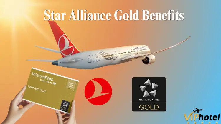 Turkish Airlines Baggage Allowance: Rules & Fees Guide 8 Star Alliance Gold Benefits