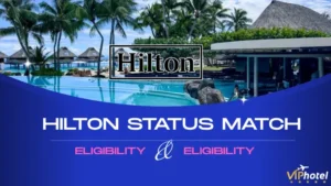 Home 11 hilton status match